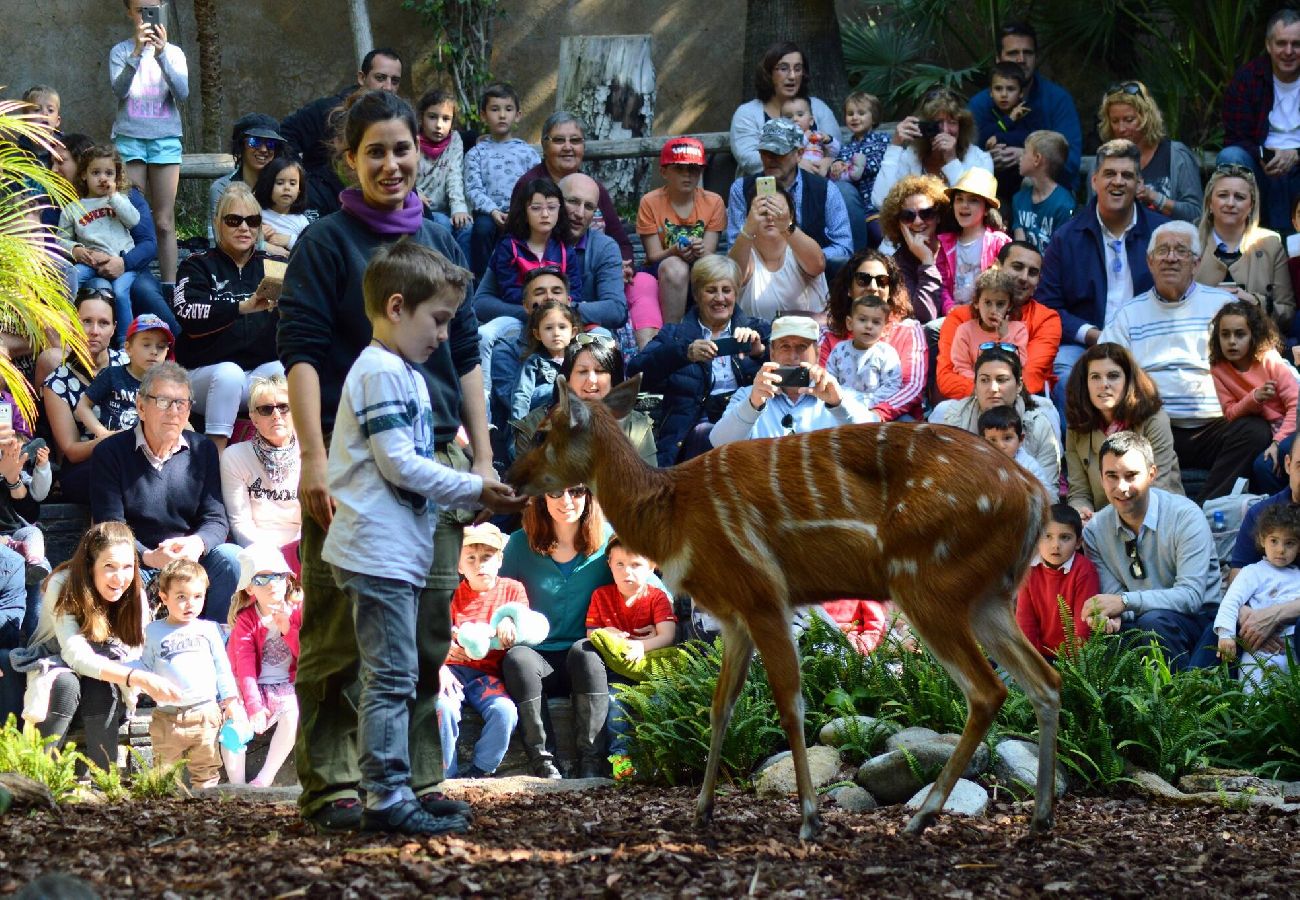 paseo-animales-vacaciones