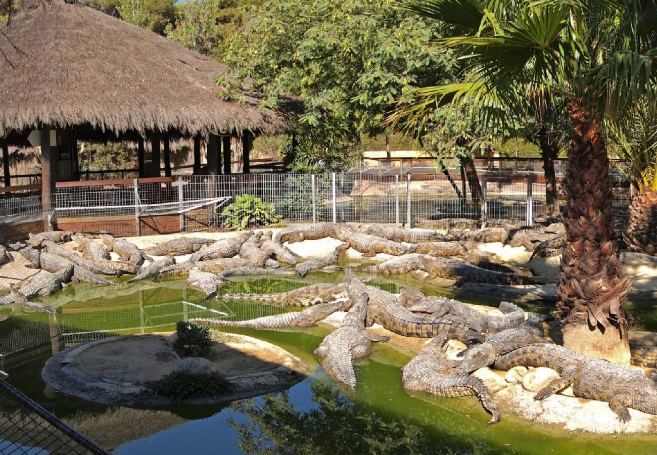 resort parque acuatico vacaciones