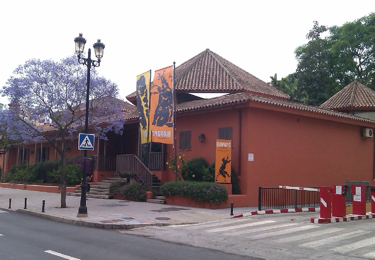 Complejo gestión de propiedades