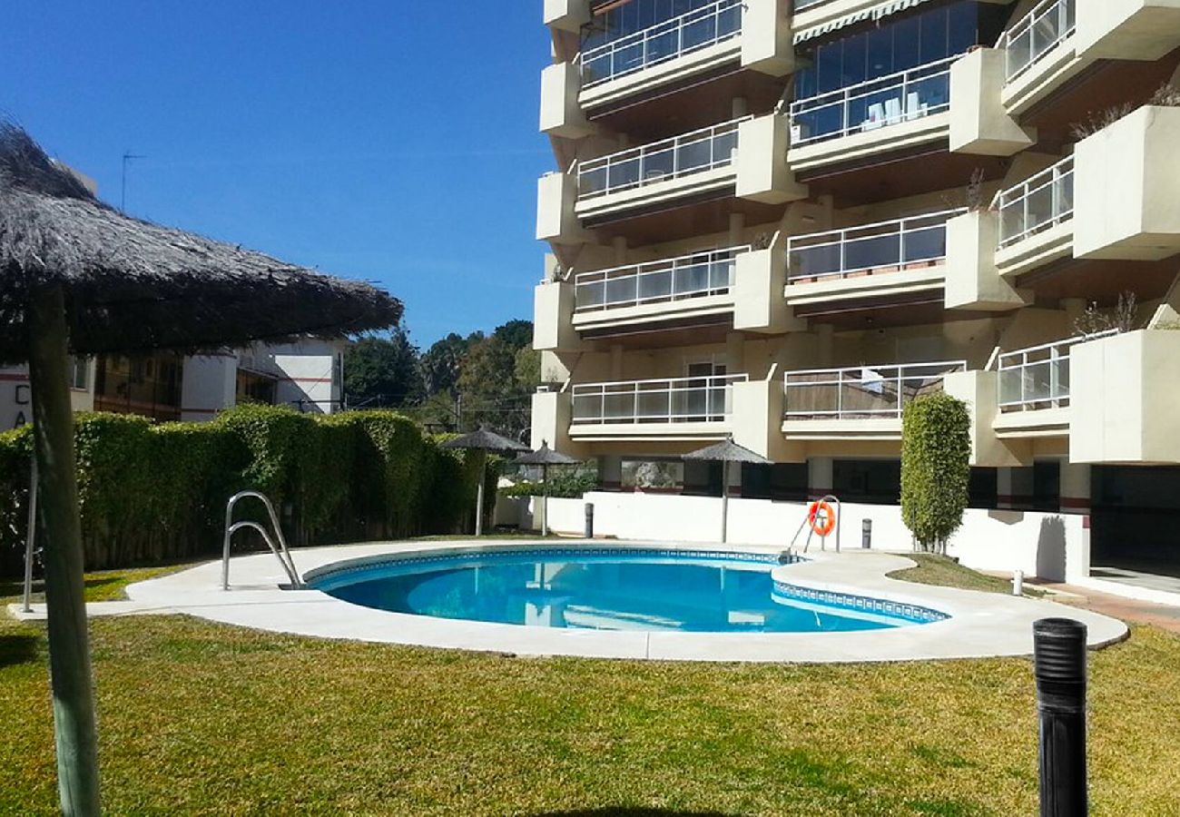 Swimming pool Vacations