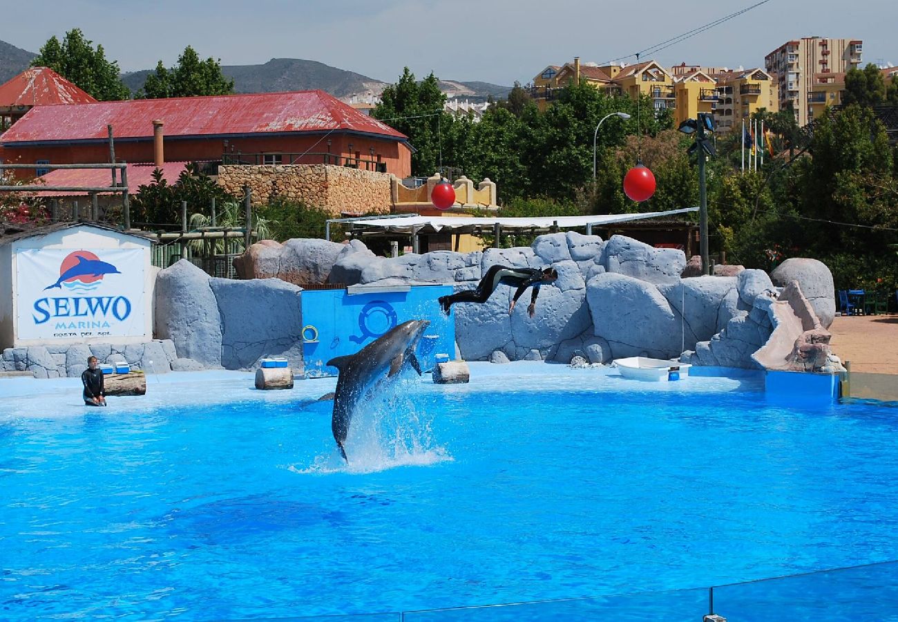 sea-park-selwo-holiday