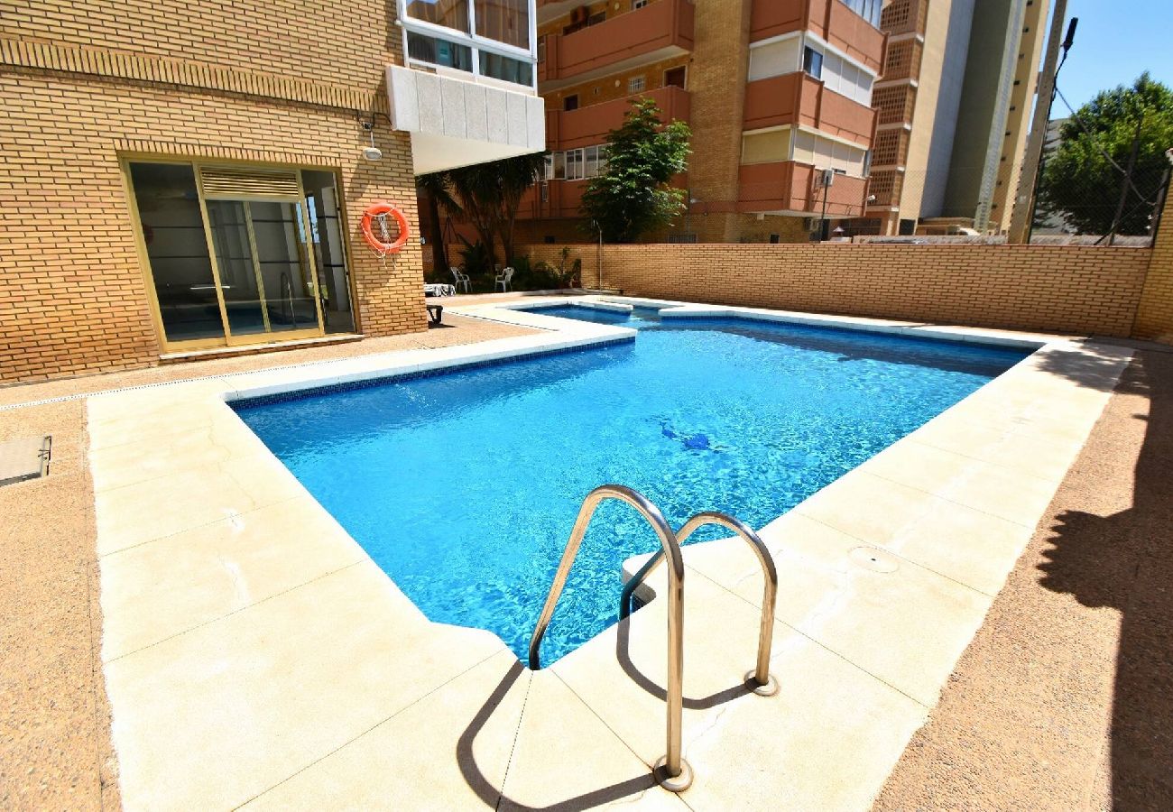 Swimming pool Vacations