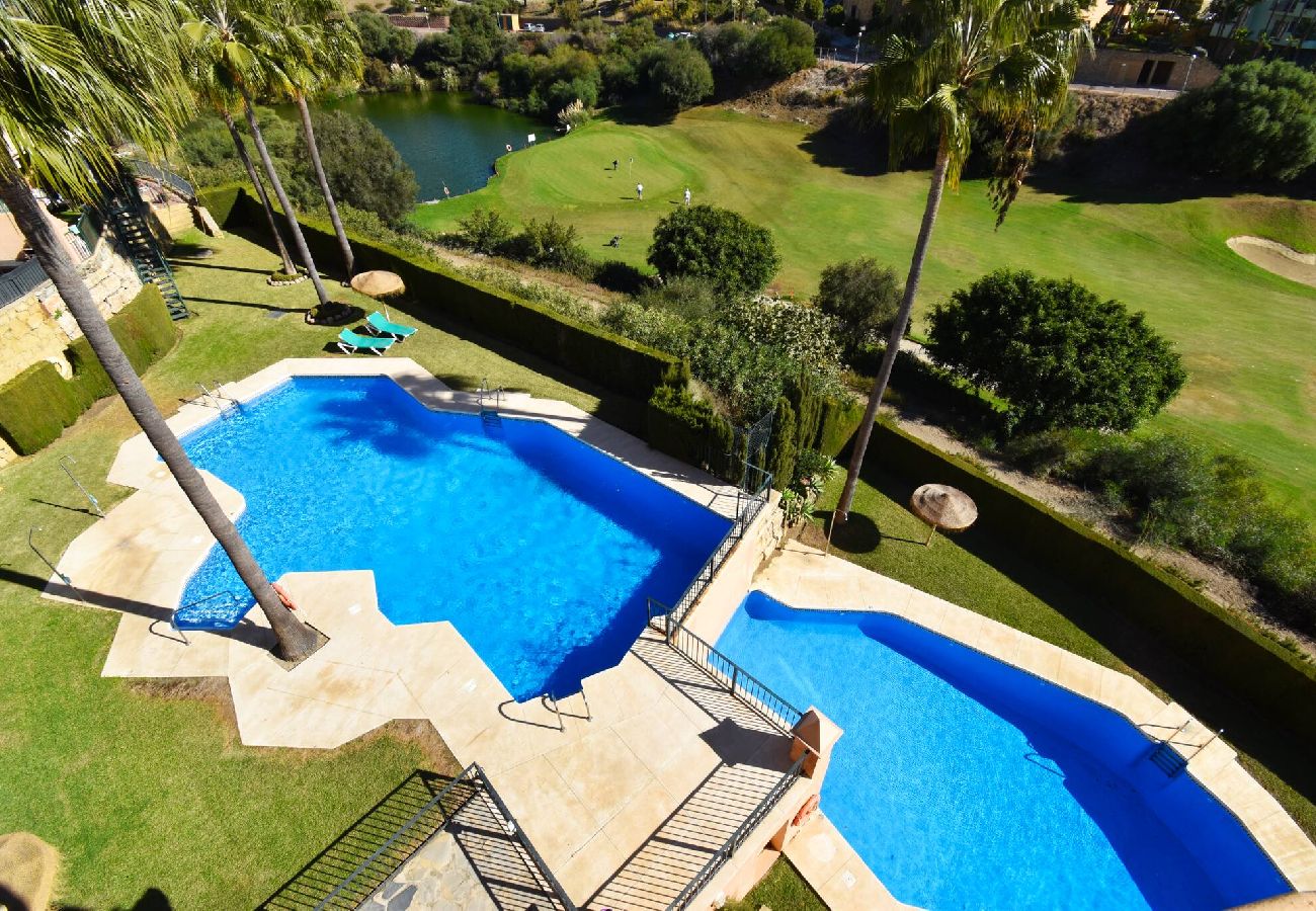 Swimming pool Vacations