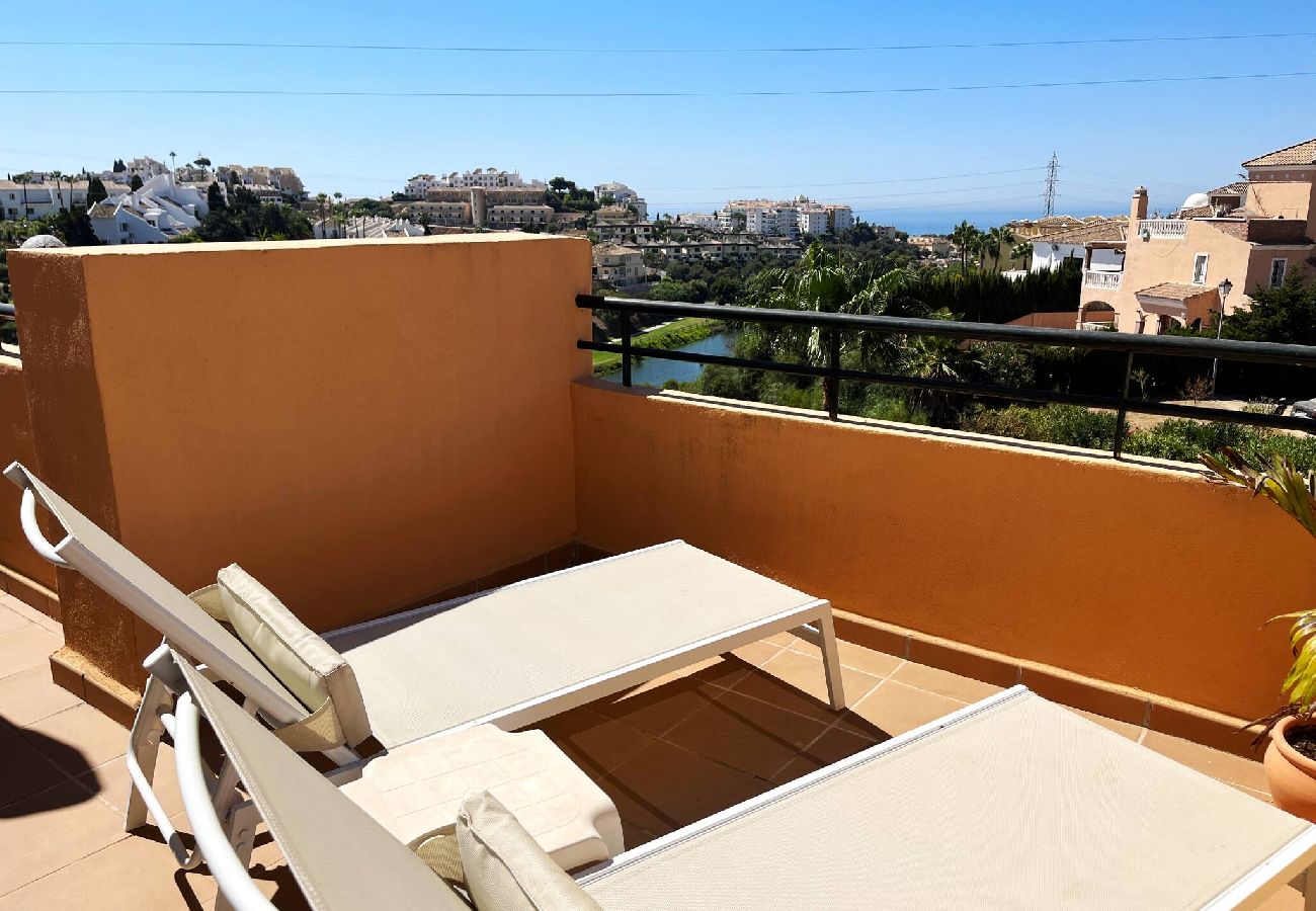 Views terrace vacations
