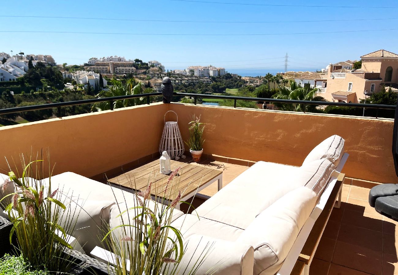 Views terrace vacations