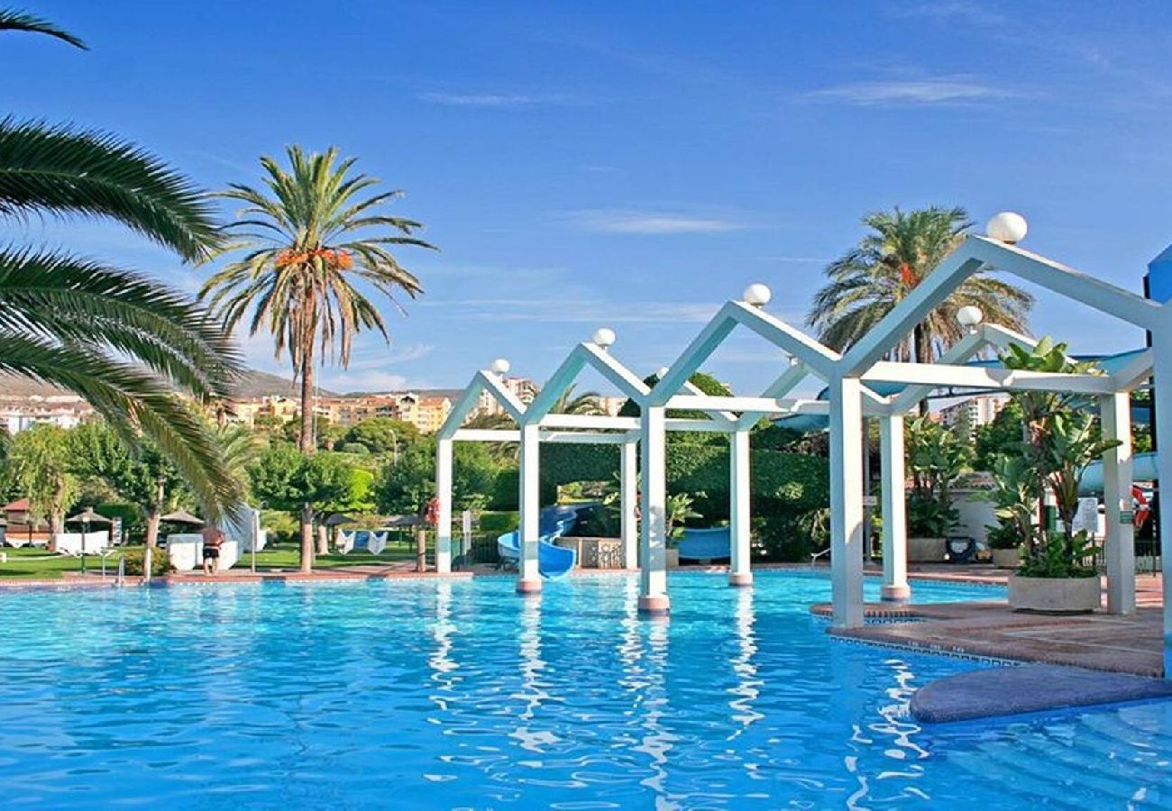 Swimming pool Vacations