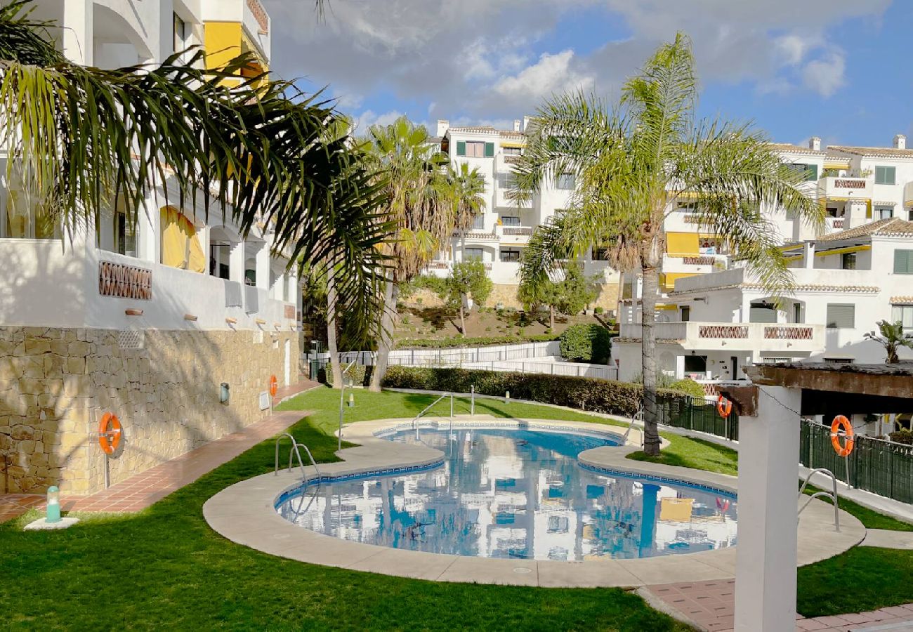 Swimming pool Vacations 