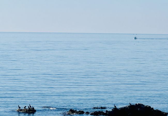 Apartment in Mijas Costa - Arkadia – Luxury Beachfront Apartment with Panoramic Sea Views in Fuengirola – by Mediterra Rentals Apartment in Mijas Costa - Arkadia – Luxury Beachfront Apartment with Panoramic Sea Views in Fuengirola – by Mediterra Rentals