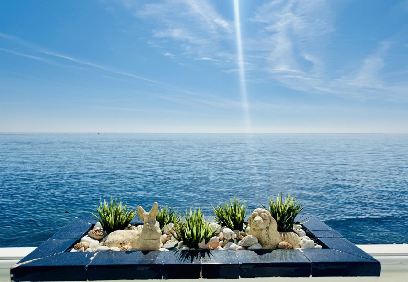 Views vacations