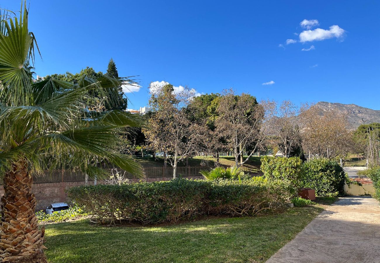 Views terrace vacations