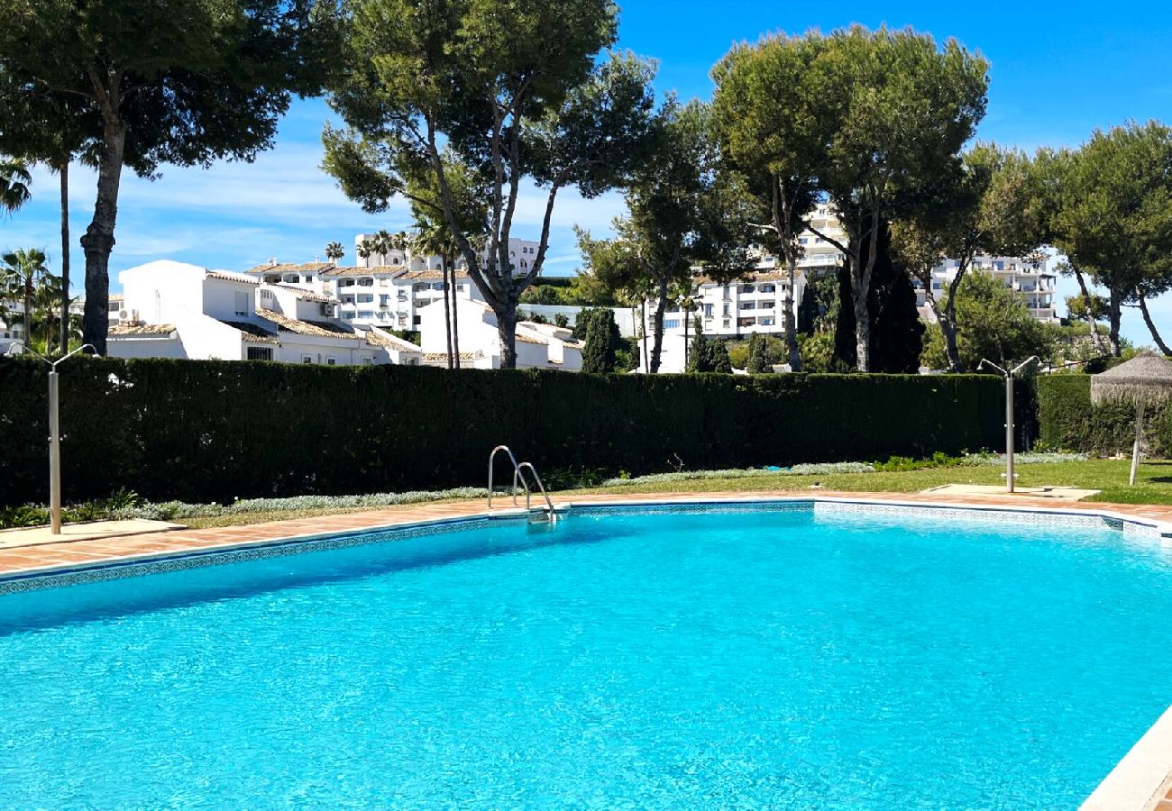 Swimming pool Vacations