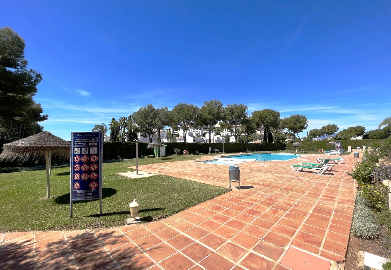 Swimming pool Vacations