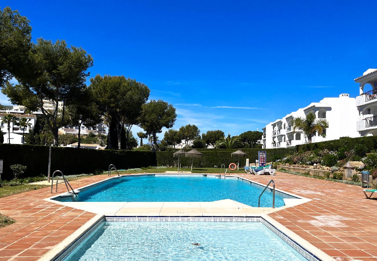 Swimming pool Vacations