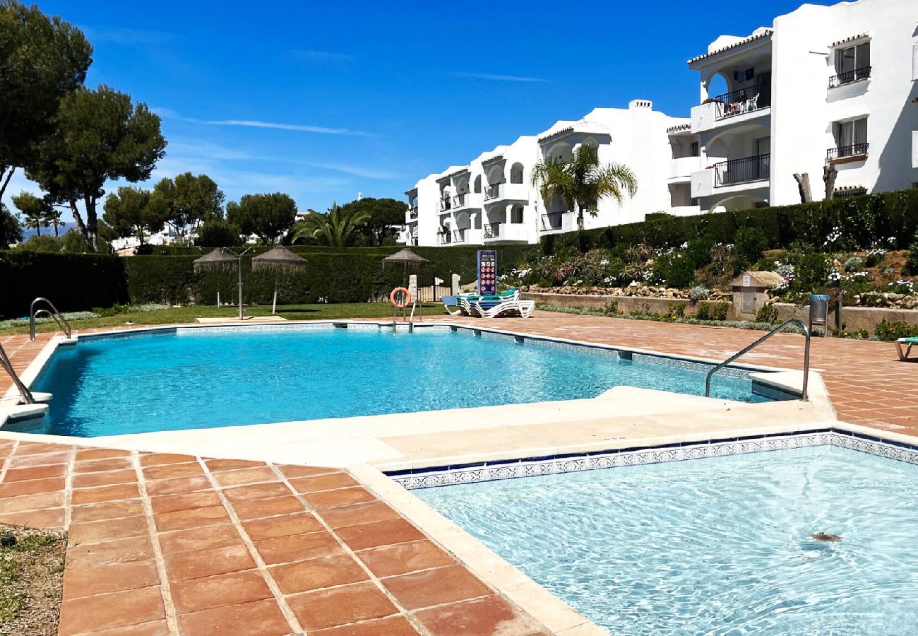 Swimming pool Vacations