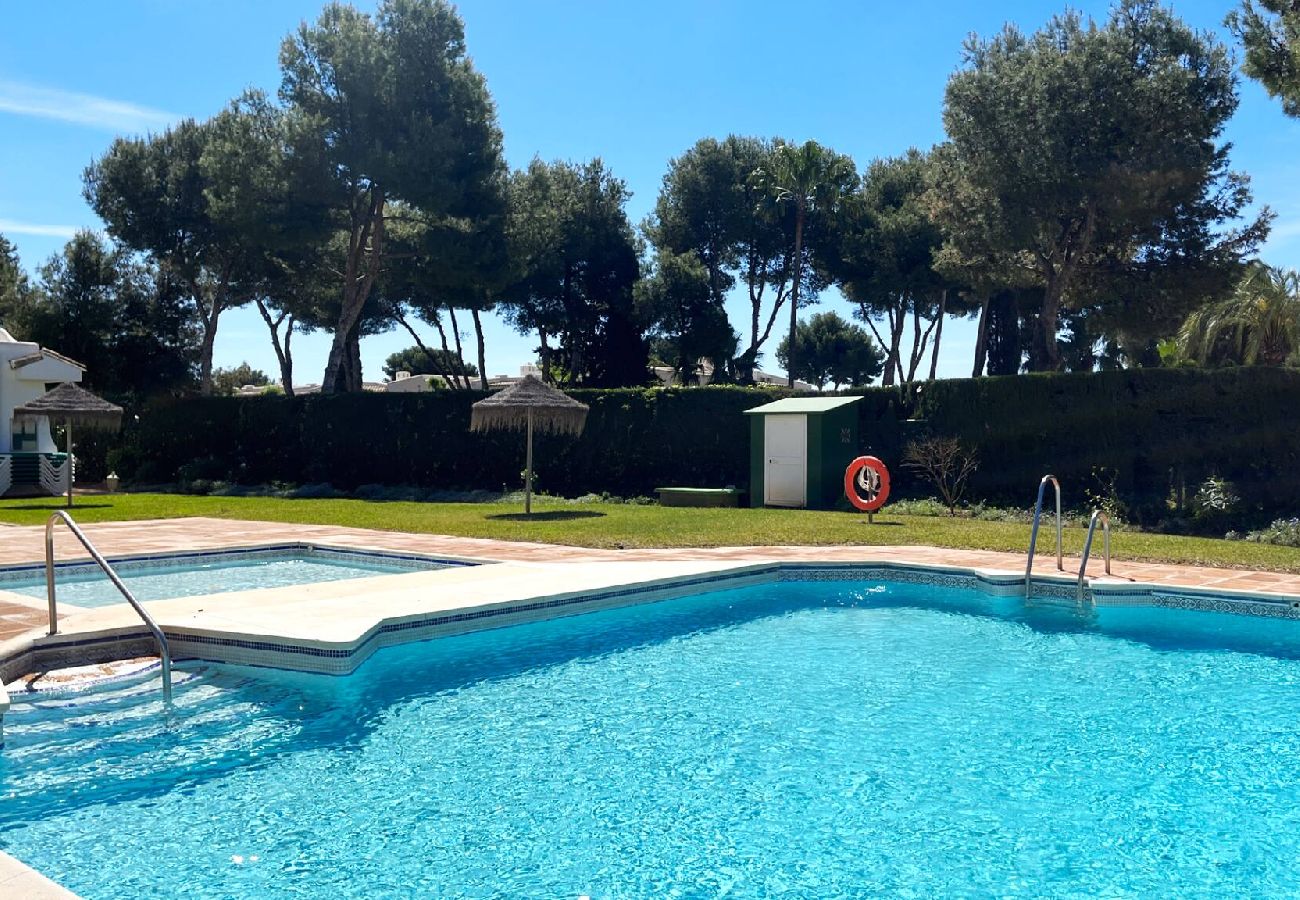 Swimming pool Vacations