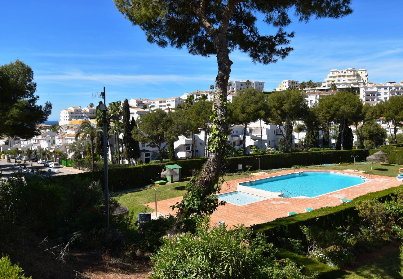 Resort  property management