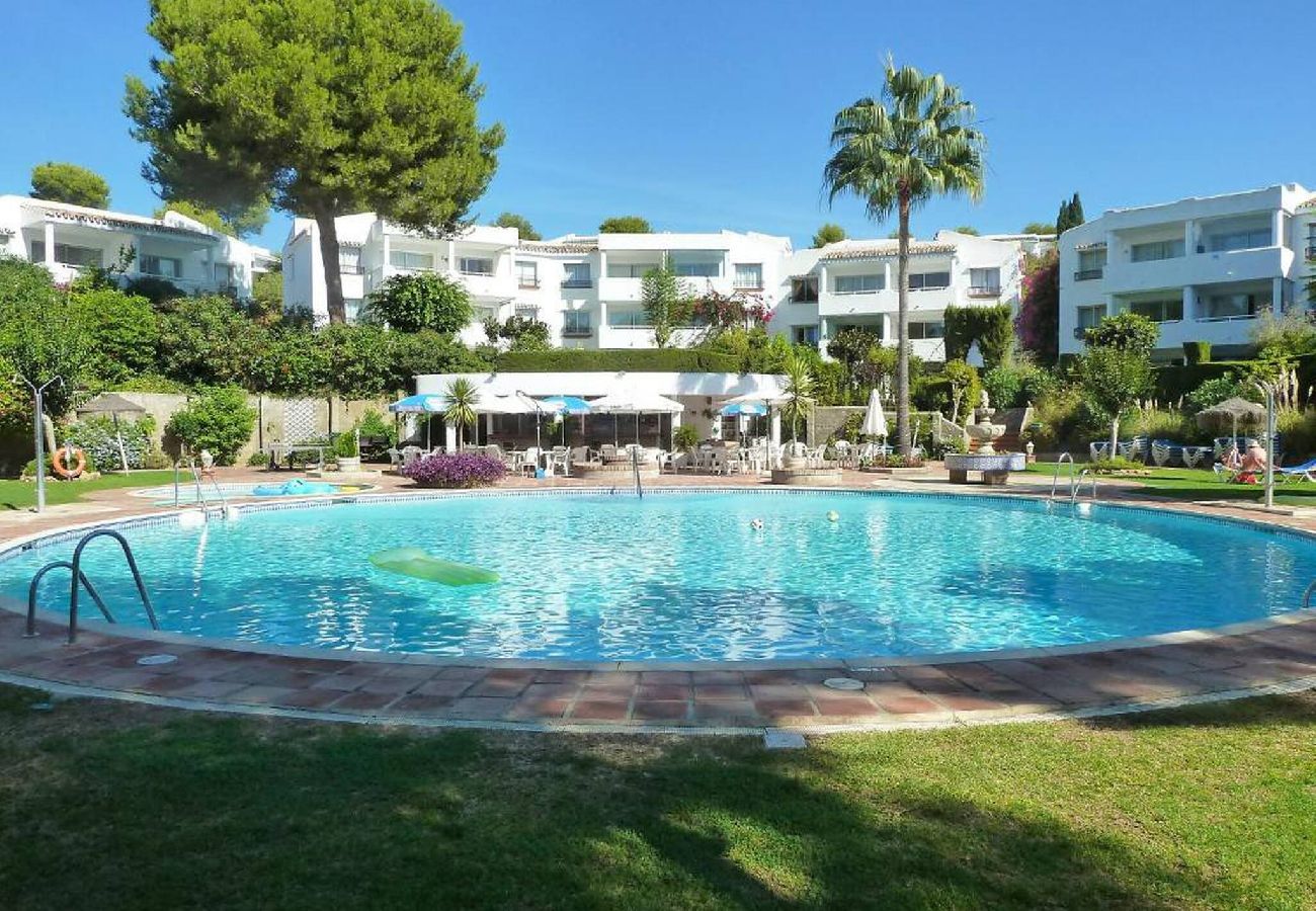 Swimming pool Vacations