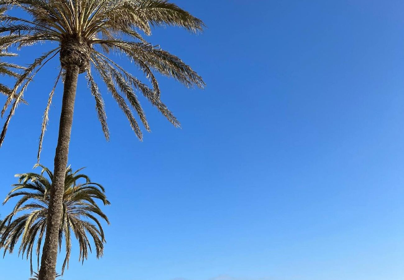 Resort  property management