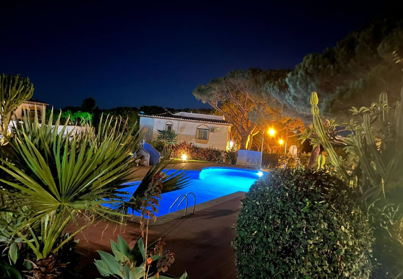 Swimming pool Vacations