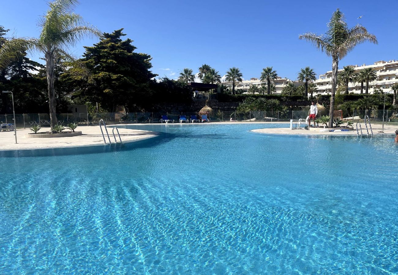 Swimming pool Vacations