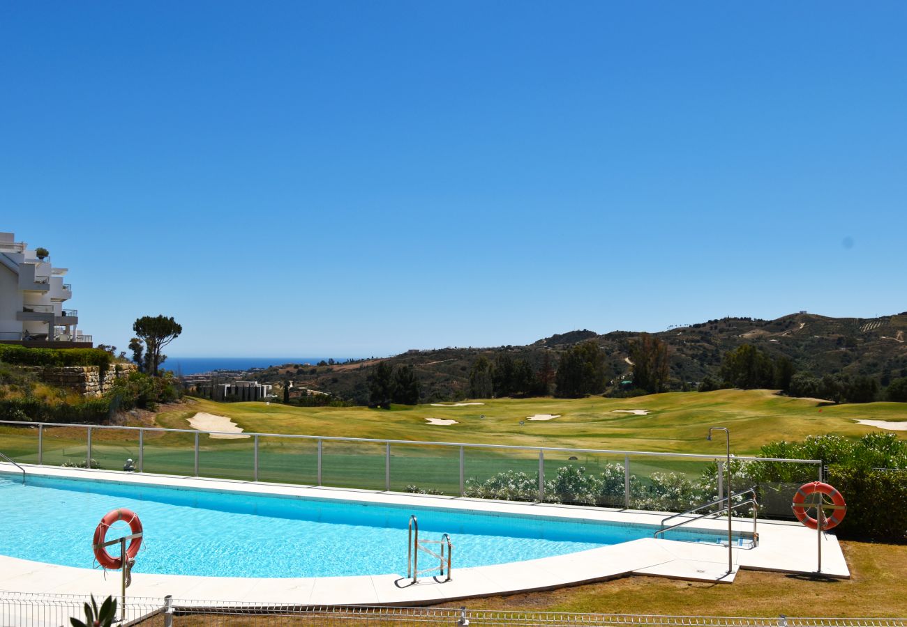 Swimming pool Vacations
