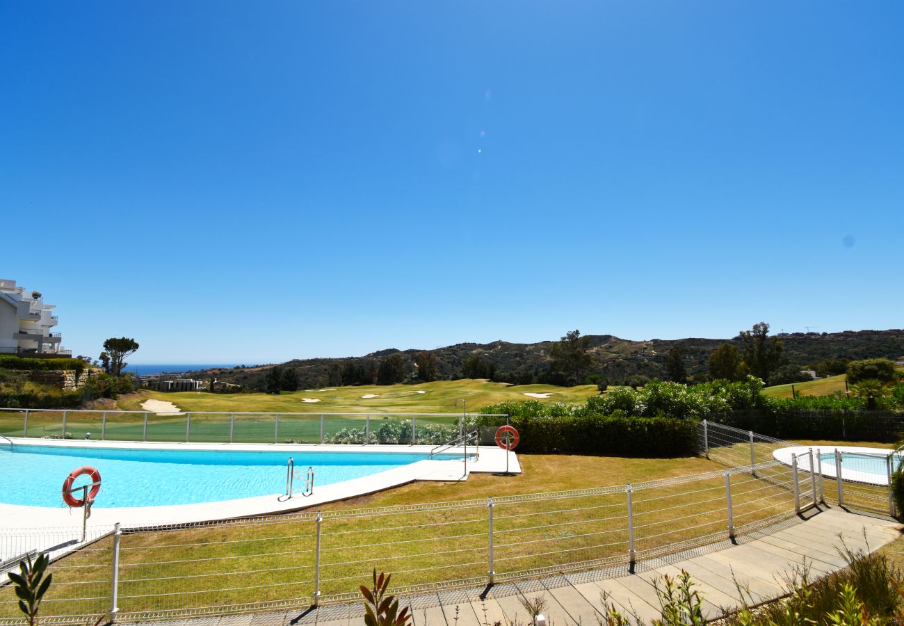 Swimming pool Vacations