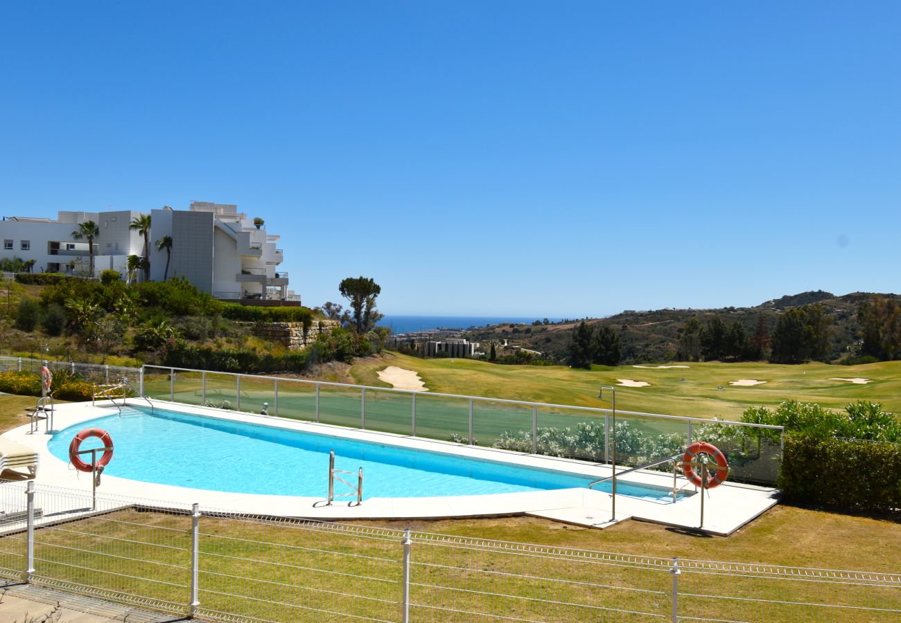 Swimming pool Vacations