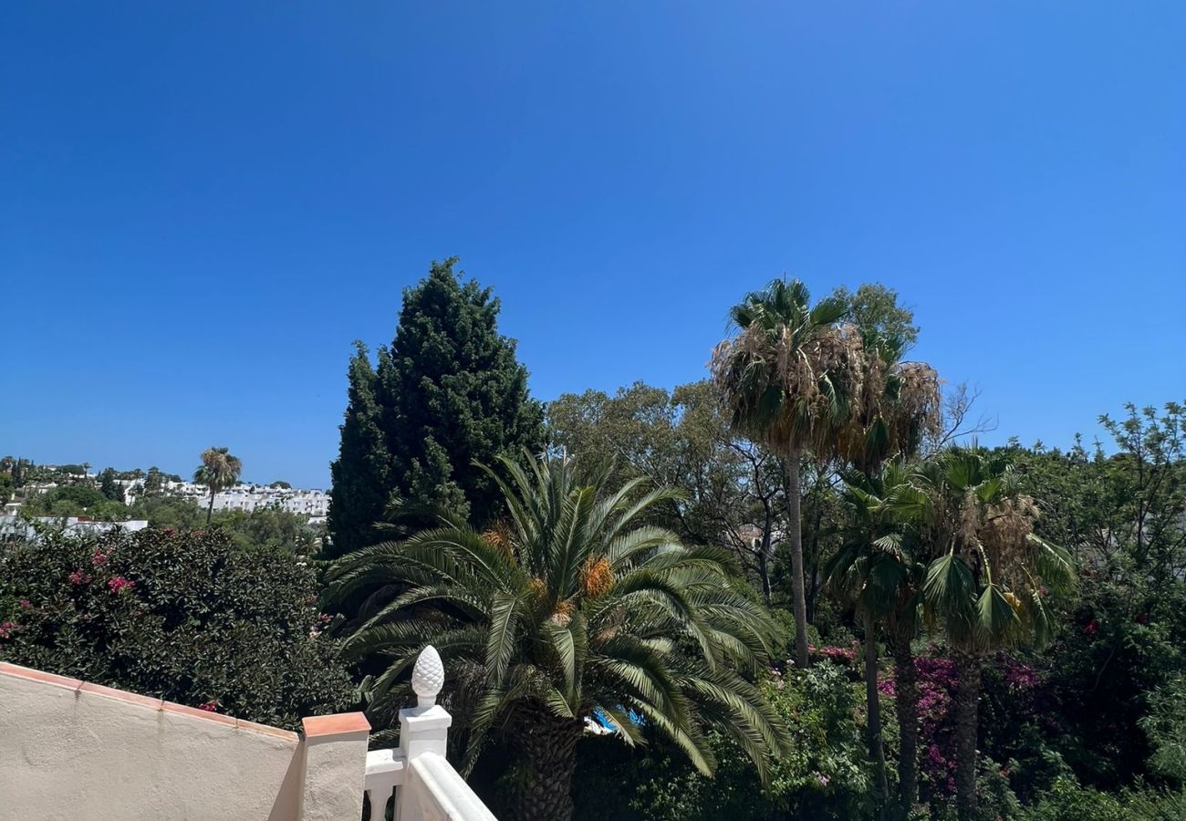 Views vacations